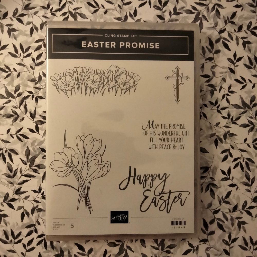 Stampin' Up! Easter Promise Cling Stamp Set with Black and White Designs